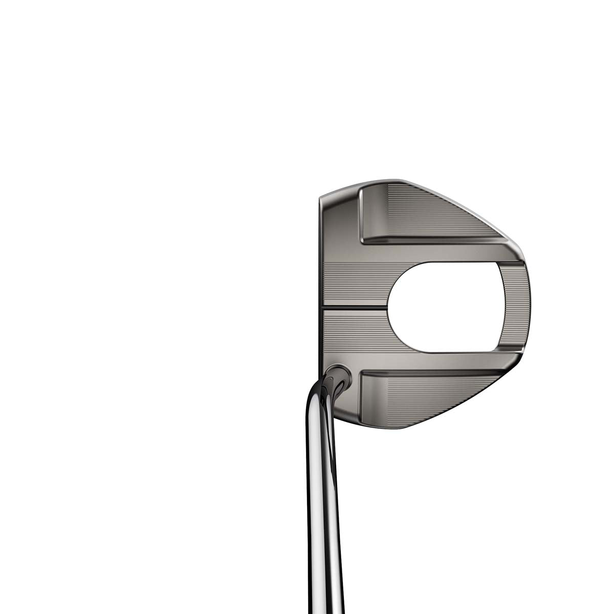 COBRA MIM Camino Putter